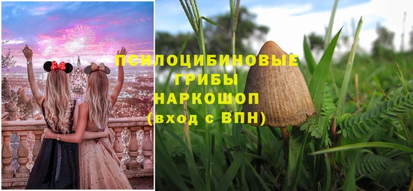 таблы Белокуриха