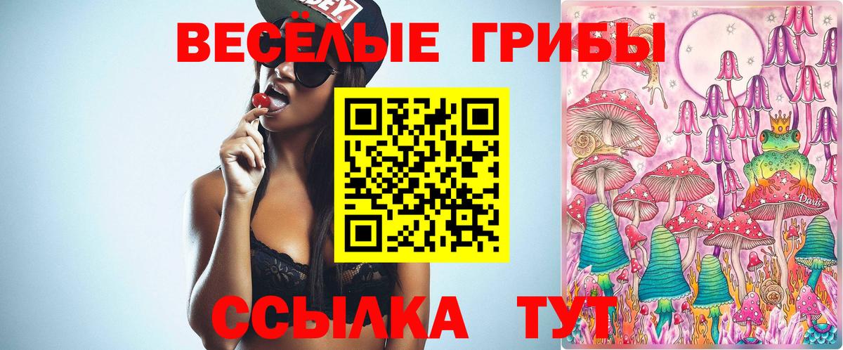 Галлюциногенные грибы Psilocybine cubensis Волжск